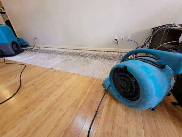 Professional Water Damage Repair technician working in Highlands, CA